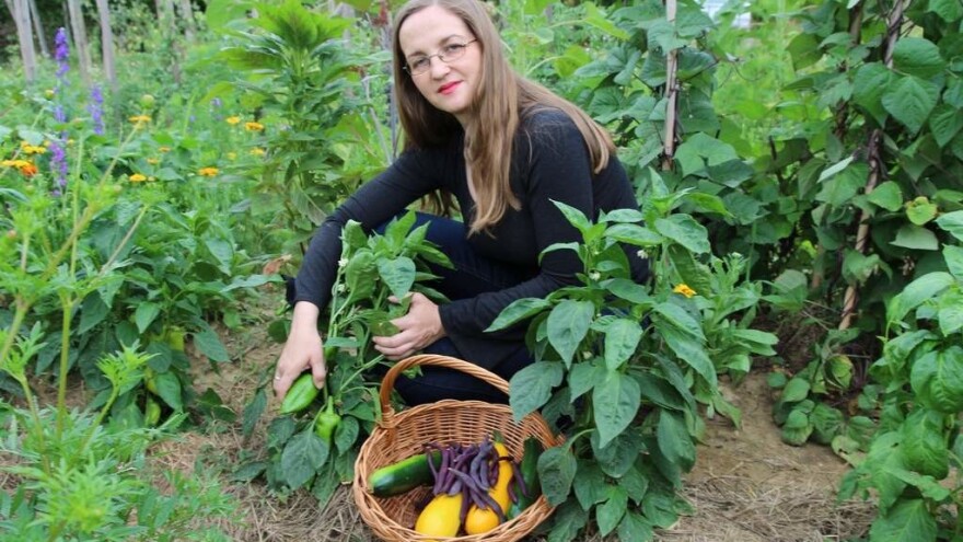 Udruga Biovrt: Dođite na predavanja i razmijenite sjemenja starinskih sorti