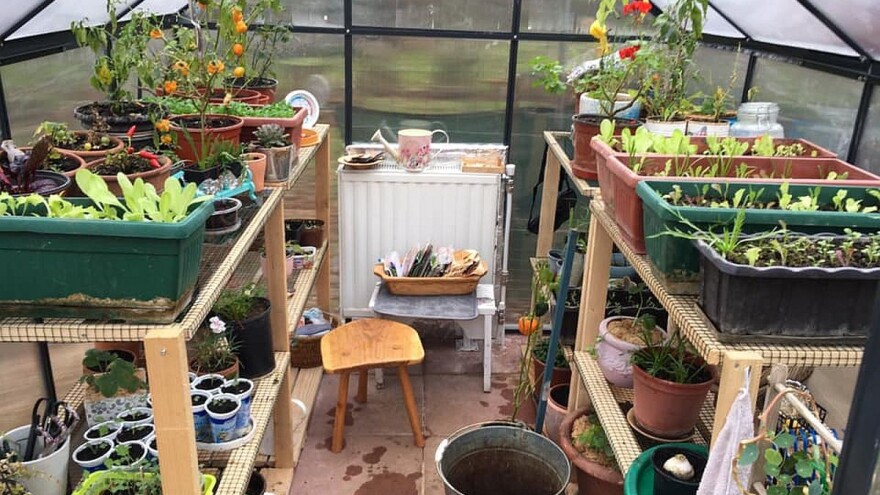 Pošaljite fotografije svog vrta, možda baš on bude najljepši mini jestivi vrt