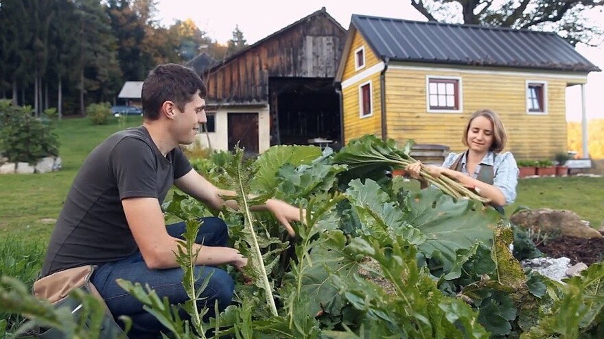 Mladi slovenski par živi u 17m² i sami si proizvode eko hranu