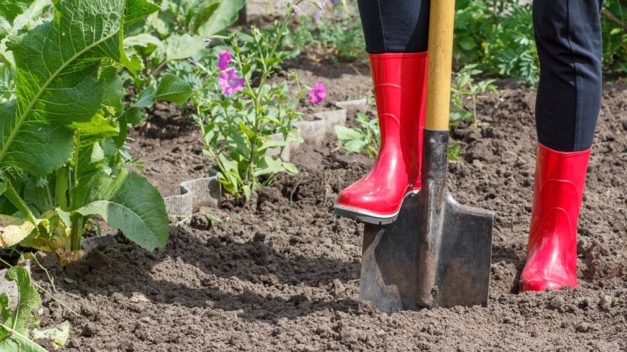 5 savjeta kako poboljšati svoj vrt uz što manje ulaganja