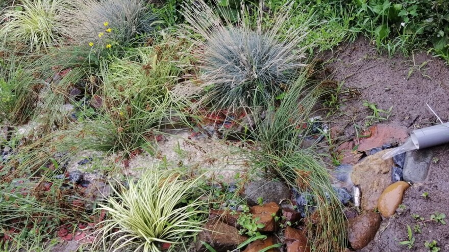 Kišni vrt smanjuje mogućnost poplave i zagađenja