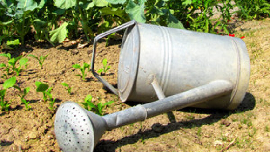 Primarna poljoprivreda nije konkurentna