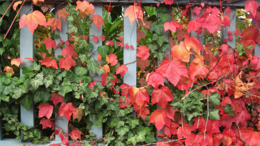 Uređivanje vrta za svako godišnje doba