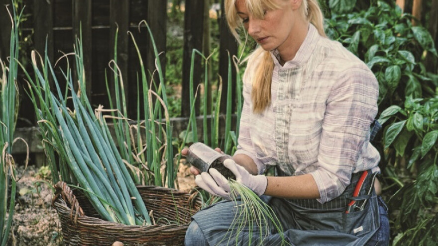 Šesta sezona popularne Vrtlarice na HRT-u!