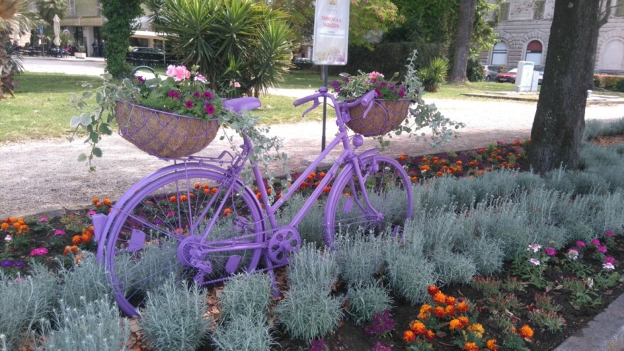 Prijavite se za 4. Vrtnu izložbu cvijeća "Cvijet Zadra"