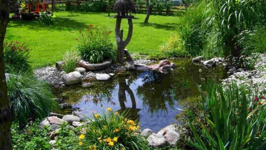 Kako izgraditi jezerce u vrtu?