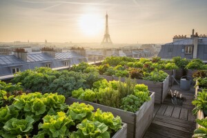 Vrtom na krovu protiv klimatskih promjena