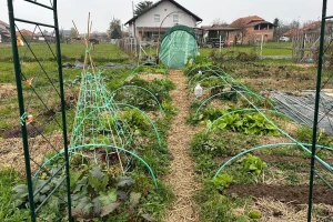 Radovi u bašti u novembru: Šta sejati i saditi, kako je pripremiti za zimu?