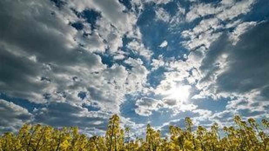 Ekstremne vrućine i poljoprivredne kulture