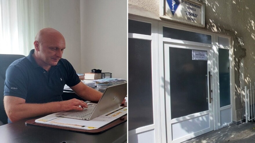 Vještačkim osjemenjavanjem sjemenima elitnih bikova do boljih proizvodnih rezultata