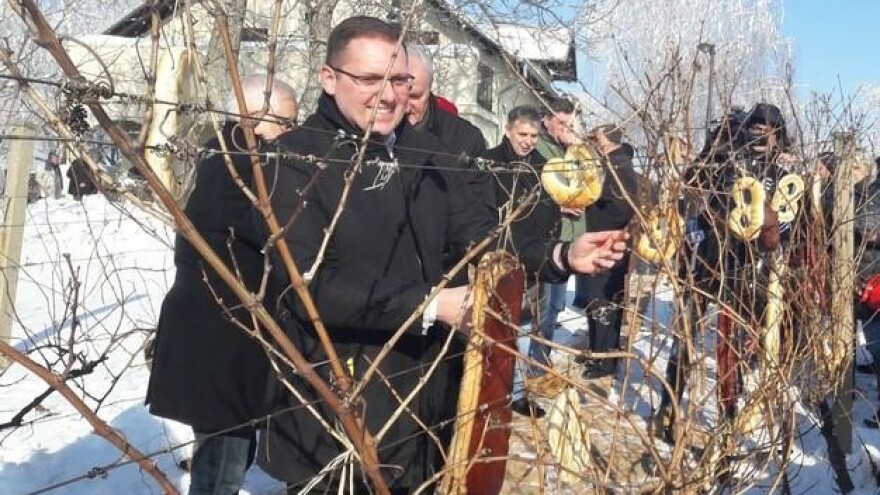 Blagoslovom vinograda do želje za bogatim urodom