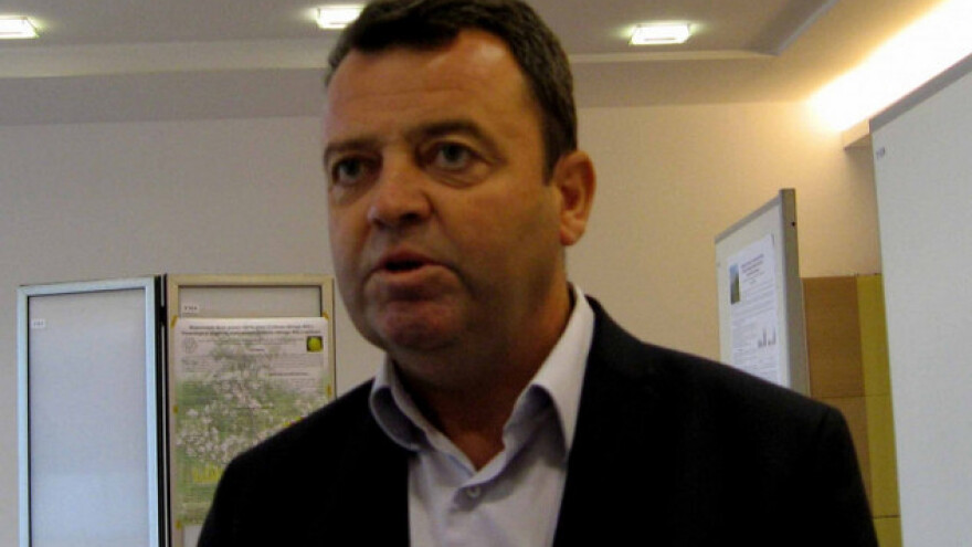 Plantažnim gajenjem drenjina do profita