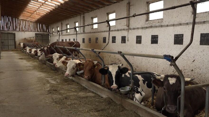 Miroslav Dobrosavljević: Ko god napravi računicu, mora da beži iz poljoprivrede