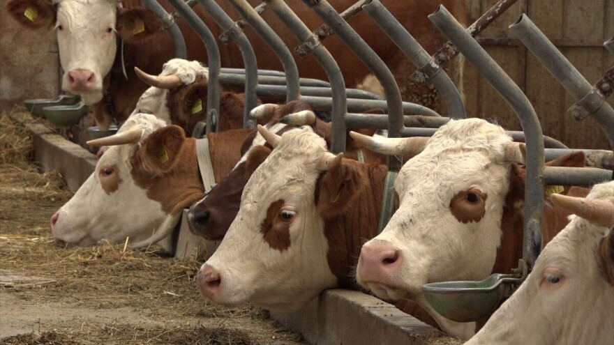 Za nabavku mašina i opreme u stočarstvu povraćaj 50 odsto