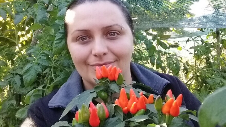 Vukicin azil za biljke: Stvorila vrednu kolekciju od 800 vrsta biljaka