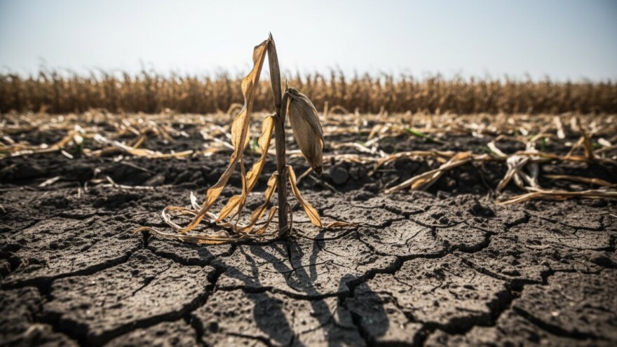 Vukovarsko-srijemska polja i dalje "žedna"