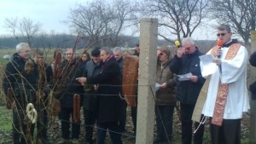 Blagdan Sv. Vinka obilježen u Vupikovim vinogradima