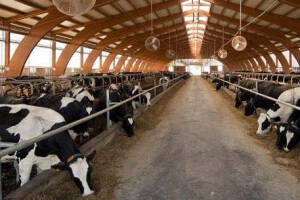 Vupiku 7,6 milijuna kuna za sustav izgnojavanja