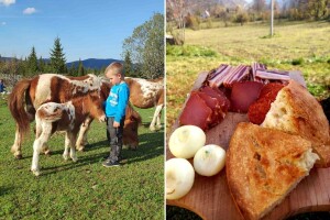 Svakodnevnica jednog seljaka je nečiji san o odmoru - kako do takvih turista?