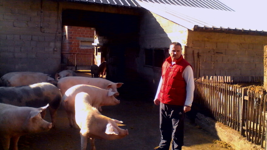 Potres i na farmama: Više nas je strah virusa, razbole li se radnici tko će brinuti o stoci