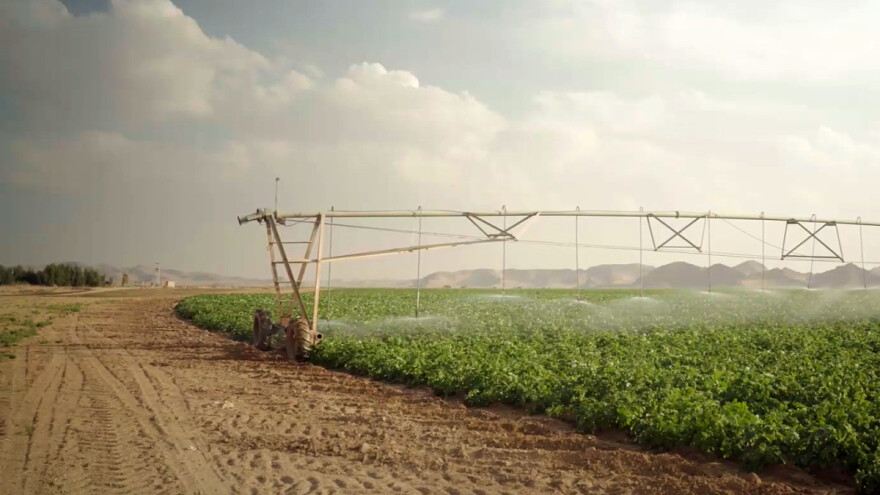 Odakle voda za Rum farmu usred jordanske pustinje?