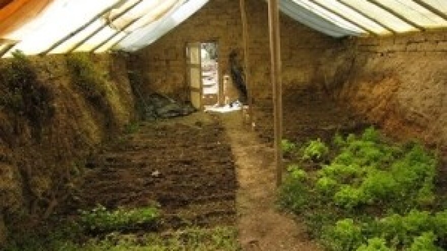 Walipini - podzemni plastenik uz minimalna ulaganja