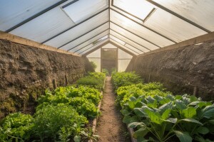 Walipini - podzemni plastenik uz minimalna ulaganja