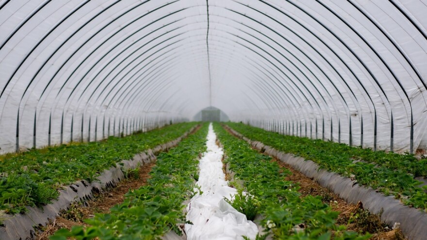 Tri miliona KM za podršku poljojprivrednoj proizvodnji