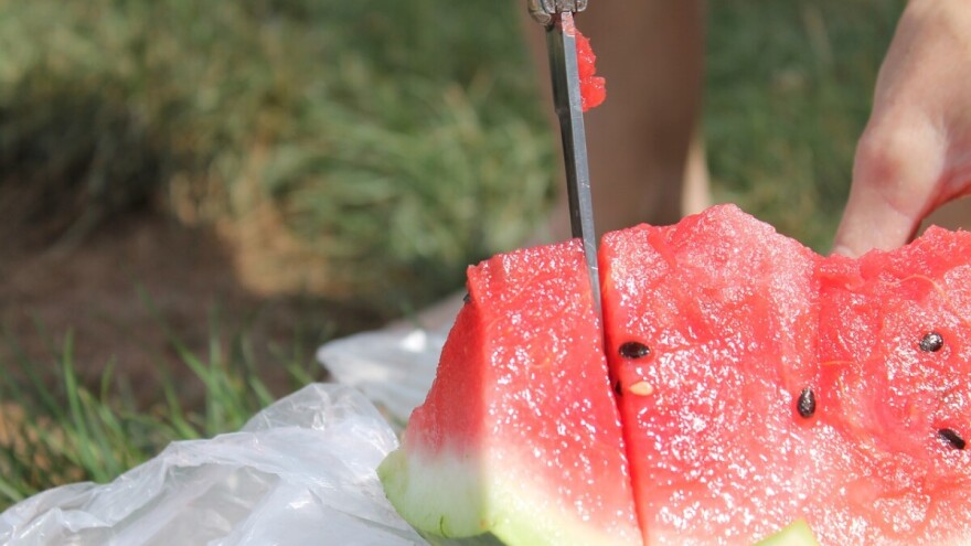 Samo u 2017. uvezli smo voća vrijednosti 180 milijuna eura, nije dobro ni s povrćem