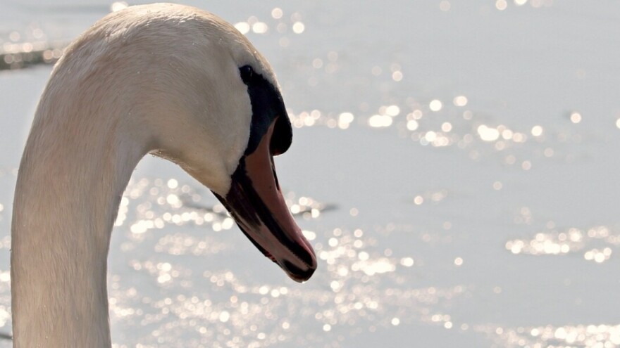 Ove sedmice temperature i do 8°C?