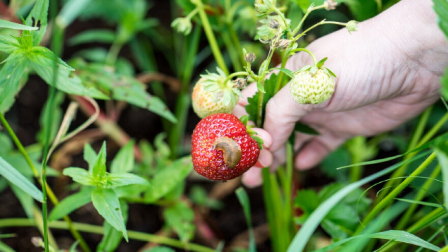 Nova web platforma za proizvođače