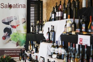 Posebna, drugačija, ali opet zanimljiva i s popunjenim rasporedom - jubilarna 30. Sabatina