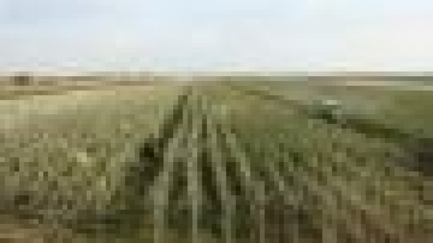 Zapažen nastup osječke tvrtke Werkos