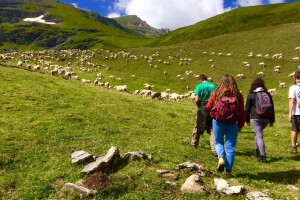 250.000 eura za projekte u okviru Fonda za Zapadni Balkan