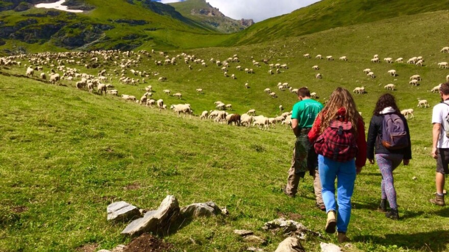 250.000 eura za projekte u okviru Fonda za Zapadni Balkan