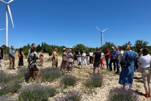 Dalmacija mora iskoristiti ogroman potencijal za uzgoj ljekovitog bilja