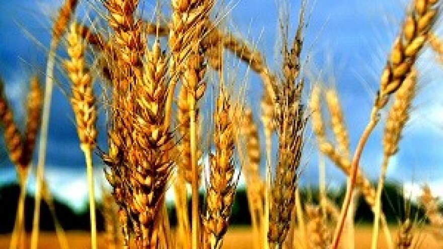 Prva u Hrvatskoj - osječka Burza Agro