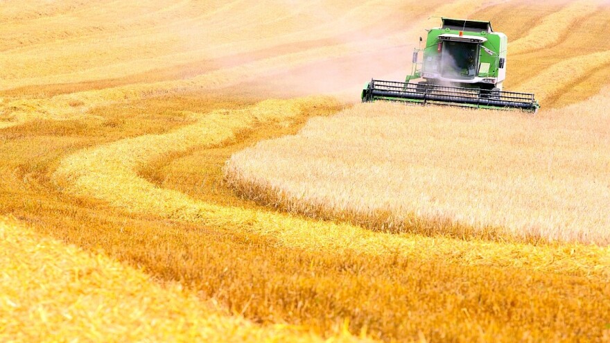 Ukrajinska pšenica i dalje ostvaruje rekordan izvoz