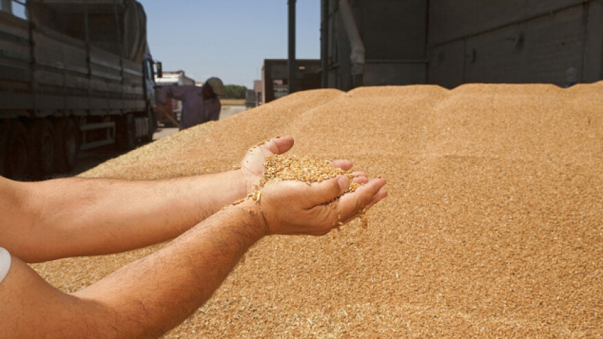 Nastavlja se rast cena žitarica