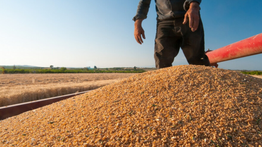 Dobijena saglasnost za razmenu pšenice
