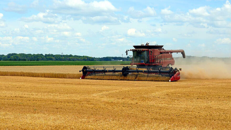 Rusija ruši SAD s trona svjetskog lidera u izvozu pšenice?