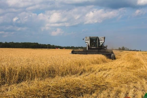 Blagi rast izvoznih cena ruske pšenice