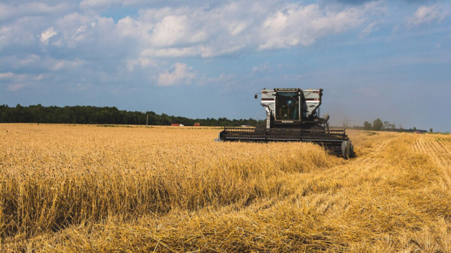 Blagi rast izvoznih cijena ruske pšenice