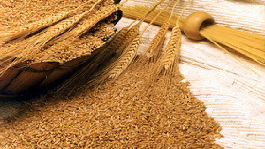 Podržavaju li poljoprivrednici prvu agro burzu?