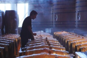 Natječaj za mjeru Ulaganje u vinarije i marketing vina otvoren do 30. travnja