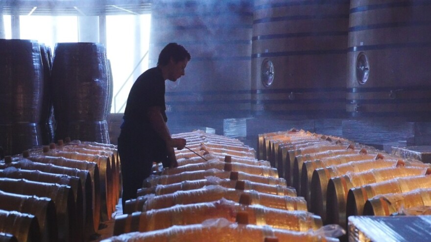 Natječaj za mjeru Ulaganje u vinarije i marketing vina otvoren do 30. travnja