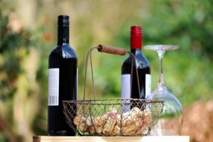 Nekoliko stotina ljudi na degustaciji sve kvalitetnijih bjelobrdskih vina