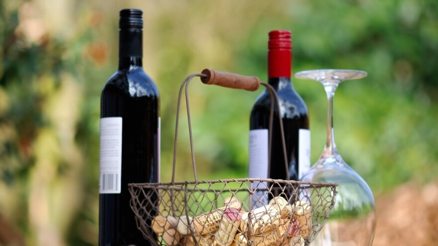 Nekoliko stotina ljudi na degustaciji sve kvalitetnijih bjelobrdskih vina