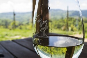 2. Središnji stručni skup vinogradara i vinara Hrvatske CroVin
