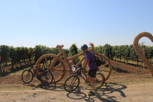 Spoj ljubavi prema vinu, biciklizmu i umjetnosti na Wine & Bike Tour Erdut 2024